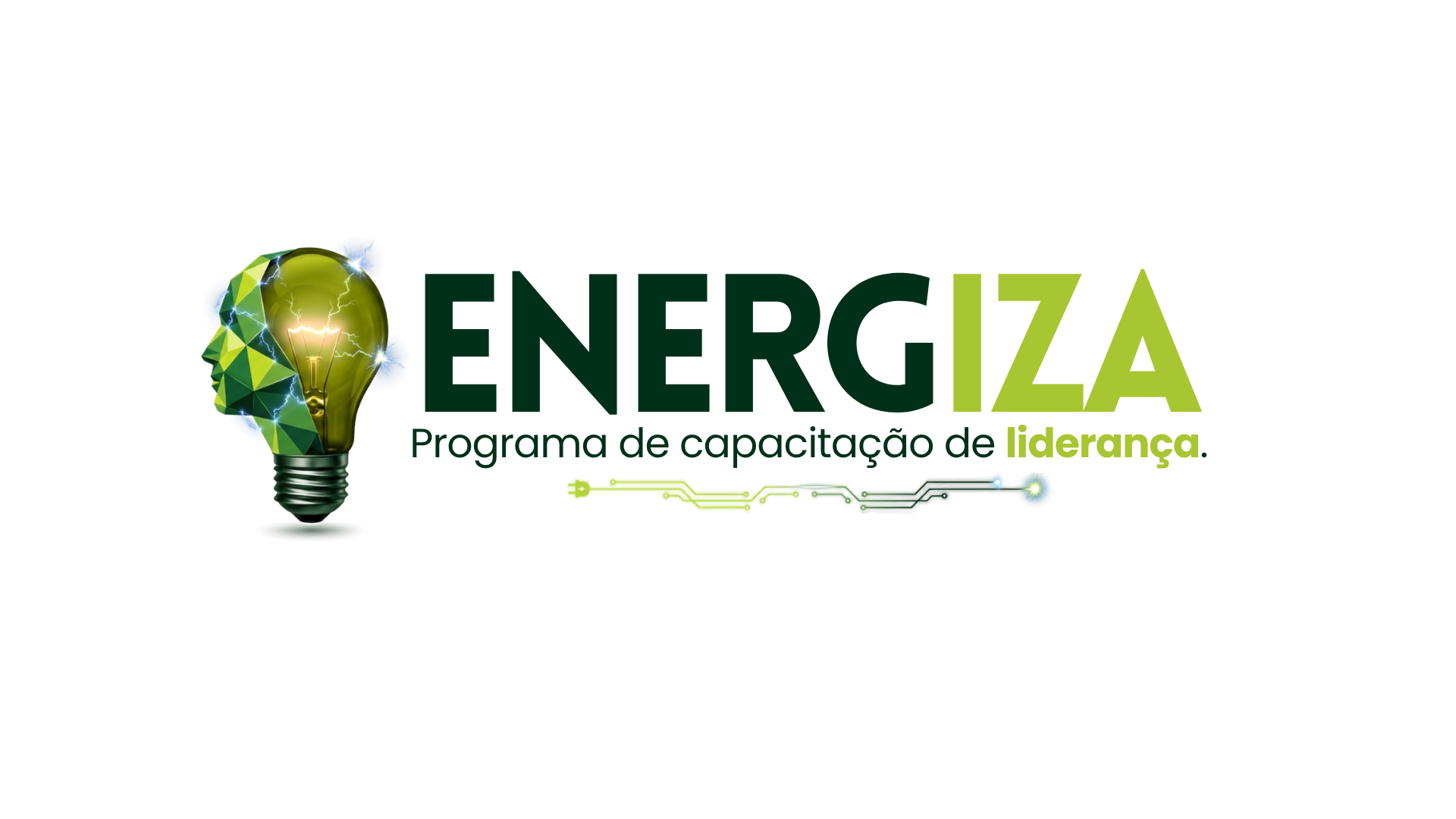 Energiza — Programa de capacitação de liderança